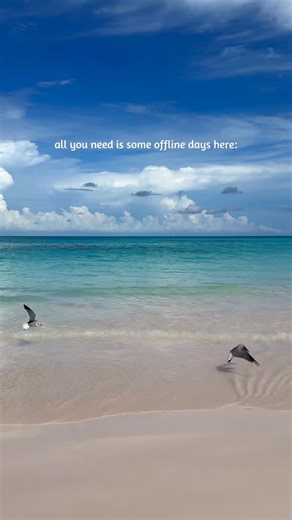 Melissa ☀️ Beach & Ocean Travel on Instagram: "Save this to help plan your future Bahamas trip! 🏝️ 🗺️ WHERE TO GO -The Bahamas are made up of more than 700 islands and 2400 cays, here are some of the most popular options of islands to visit: 🇧🇸 Nassau 🇧🇸 Paradise Island 🇧🇸 Freeport & Lucaya 🇧🇸 The Abacos (pictured) 🇧🇸 Bimini 🇧🇸 Eleuthera 🇧🇸 Andros 🇧🇸 The Exumas 🇧🇸 Long Island ☀️ WHEN TO GO -The Bahamas offer warm weather year-round! It can be risky to visit during the peak hu