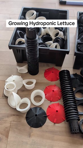 Grow Hydroponic Lettuce with 3D Printed Kits