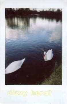 DIZZY HEART – ECLIPSE 💗✨ | Crush Song