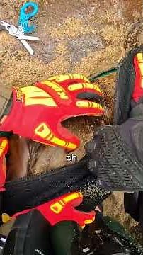 Chaotic Seal Rescue On The Rocks #shorts
