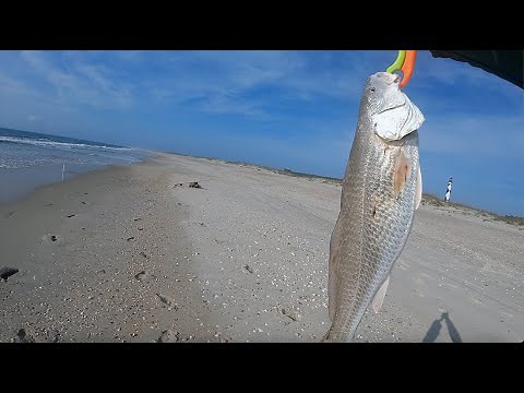 Surf Fishing on Cape Lookout (Outer Banks)