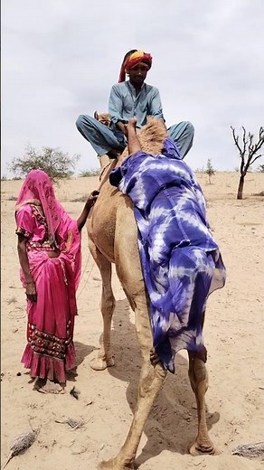 لما تقول "بس صورة عادية" ويطلع الموضوع مغامرة 🐪😂