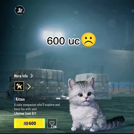 My 0 UC Companion: Tips and Insights