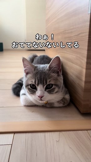 お手手ないないの歌で楽しむリズム
