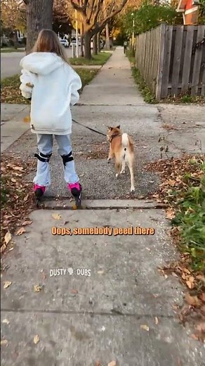 Two dogs. Two bad decisions. 😂🐶