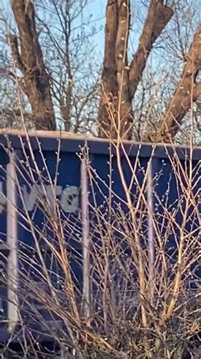 DCR 60 #train #railwaycontent #railway #cool #trainspotting