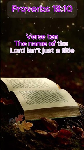 Proverbs 18:10 - Bible Verses Explained