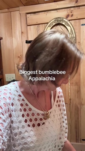Large bumblebee #appalachia #smokeymountains