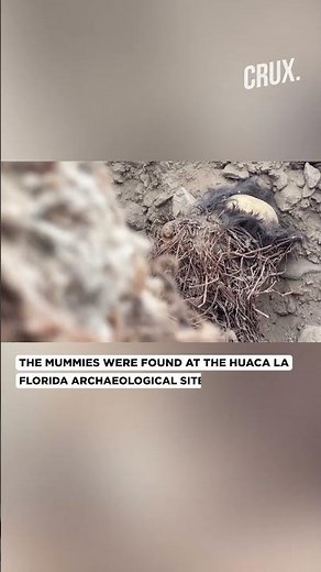 1,000-Year-Old Mummies Of Children Unearthed In Peru