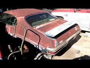 Pontiac GTO Judge junkyard find