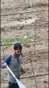 For HighDensity Apple Orchards #JKKVC has complete machinery & tools package. Contact 9906496016, 9858414134 Video by our valued customer Nengroo Gh Hassan Hanjan Payeen Rajpora #Pulwama | Kashmir Horticulture