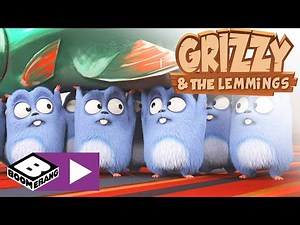Grizzy și lemingii | Noul nostru lider | Cartoonito