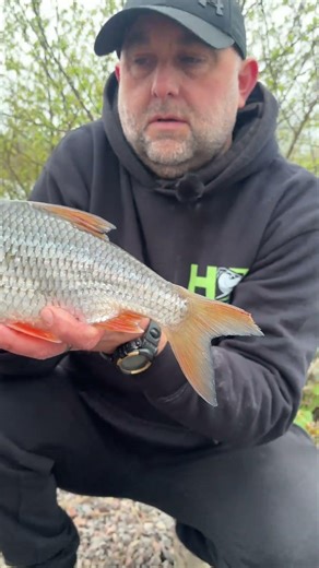Big Roach #roach #fish #fishing #fishingvideo #fishingtips #fishingtrip #fishingtrips #angling #uk