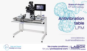 Antivibration table LFM-75 | LABOX