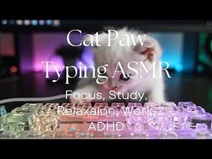 Cat Paw ASMR Typing — Soft Keyboard Sounds for ADHD, Focus, Study & Relaxation