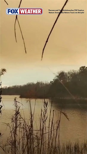 🔥WILDFIRE SHUTS DOWN INTERSTATE: Part of Interstate 75 in South Florida was shut down due to heavy smoke from a wildfire that exploded to 30,000 acres, amid the state's worst drought in 25 years. Latest: https://www.foxweather.com/weather-news/florida-wildfire-historic-drought-rain-forecast-southeast | FOX Weather