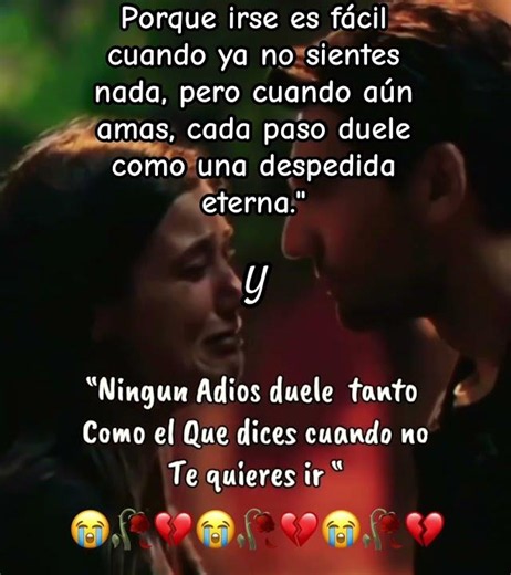 #frases