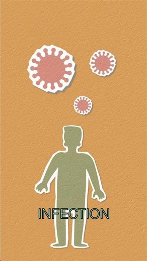 Your Appendix Is Actually an Immune Organ