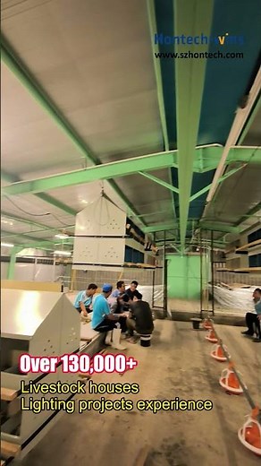 Hontech-Wins: IP67 Waterproof, Dimmable, Flicker-Free LED for Chicken Farms