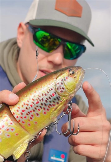 Fishing XXL lures for giant pike?! This recap covers the events of our most recent YouTube video where @Marius and Olli chase alpine pike! Check out the full video on our YT channel✌️ #westinfishing #pikefishing #bigbaitfishing