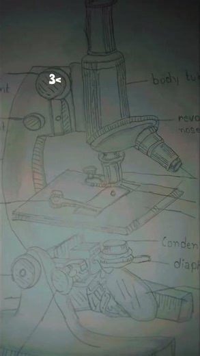 How to Draw a Compound Microscope | Step-by-Step Science Diagram