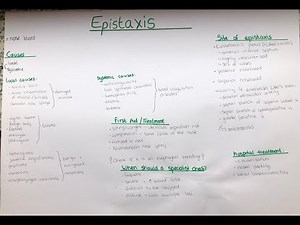 Epistaxis (nose bleed) - cause, location, vessels, treatment, consultation, Littel's area