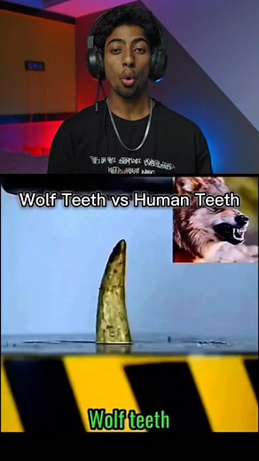 501K views · 5.3K reactions | #fyp #knowledge #interesting #reaction | Gattistar | Facebook