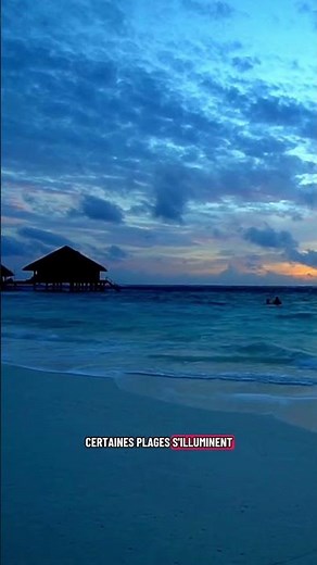 🌴 Le saviez-vous ? Maldives – Voyage au cœur de l’océan Indien