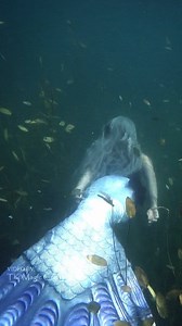Mermaid in the seaweed 🌿 This video was filmed in an inland lake in Northern Michigan that has some of the most beautiful seaweed I've ever seen! This is a video of my Mermaid Phantom character. 🖤 Please enjoy the video. 🌟 #themagiccrafter #michiganmermaid #professionalmermaid #mermaidphantom #mermaid | The Magic Crafter