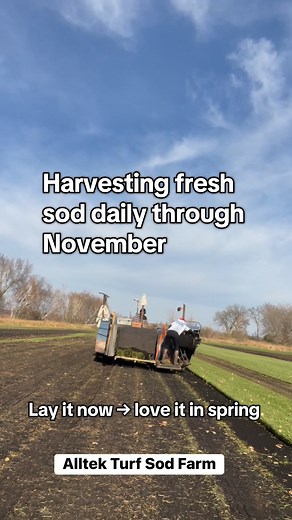 It might be getting chilly, but Alltek Turf is still out here harvesting fresh sod every day! 🍃 Did you know fall is one of the best times to lay sod? Here’s why: 🌤️ Cooler temps mean less stress on your grass 🌱 Warm soil helps roots grow strong 💧 More rain = less watering 🌾 Fewer weeds to compete with And the best part? Those roots get established now, so your lawn wakes up lush and green next spring. We’re still harvesting daily — get your project in before winter hits! Proudly serving th