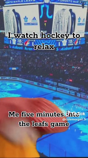 Funny Toronto Maple Leafs Hockey Memes