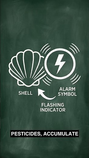 What Toxins Are Doing to You | Environmental Toxicology
