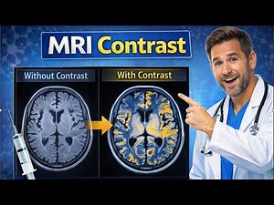 MRI Contrast: Is It Safe? Does It Hurt? Everything You Need to Know