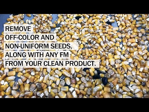 Satake RGBR Optical Sorter Seed Corn Sort Demo - Full Color RGB / Shape / Infrared