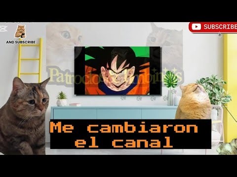 Pelea por la Tv