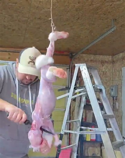 Cleaning a Rabbit in 10 seconds