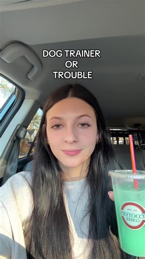 I am heartbroken for these dogs and their families #dogtrainerlife #dogtrainingadvice #boardandtrain #dogtrainingtips #dogowners