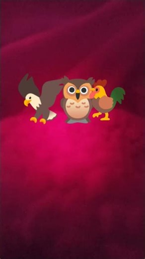 bald eagle owl and rooster vs cave