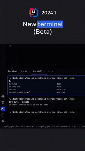 IntelliJ IDEA 2024.1: New terminal (Beta)