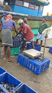 Sea Block Fish #reelsfypシ | Village Life 1