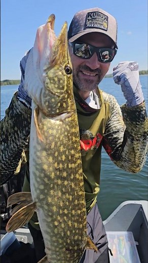 Ouverture carnassier 2026 #fishing #peche #brochet #pike