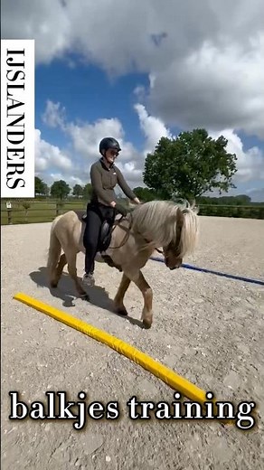 Balkjeswerk met een IJslander in Stap, Draf en Galop
