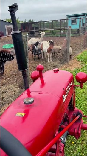 Farmall Cub Drive By
