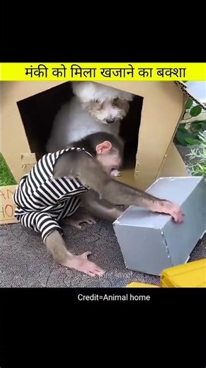 Magic box | Amazing videos in hindi #shorts