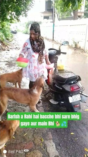 cute dog #shortvideo #puppy#doglover#l