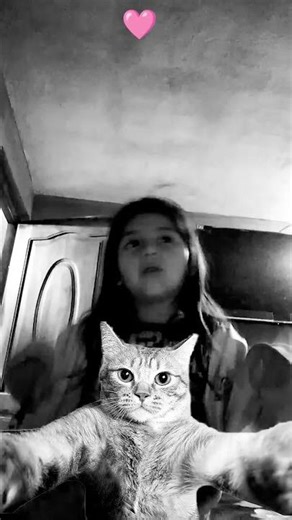 7 de noviembre de 2025