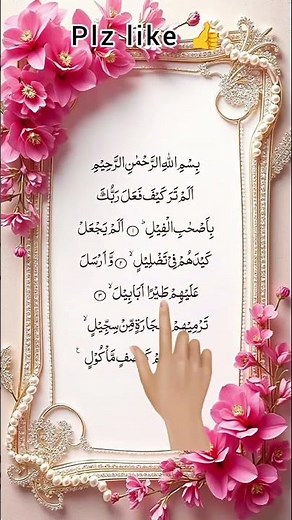 Surah Al-Feel Full | Beautiful Recitation with English Translation| Story of the Elephant #backrooms