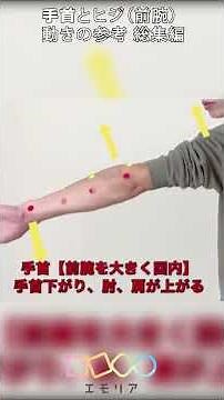 人体のアニメーション参考！手首とヒジ（前腕）総集編 #animation #humananatomy #anime #3danimation #3d #3dcg