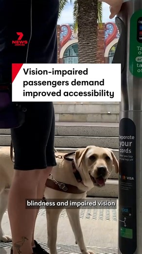 Aussies living with blindness and impaired vision are urging the government for improved accessibility on air travel. Guide Dogs Australia is currently campaigning for easier airport and flight experiences for blind and vision-impaired travellers. #visionimpaired #guidedogsaustralia #accessibility #airtravel | 7NEWS Australia
