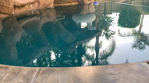 Watch Pool skimmer door/flapper ﹙Weir door﹚ on Amazon Live